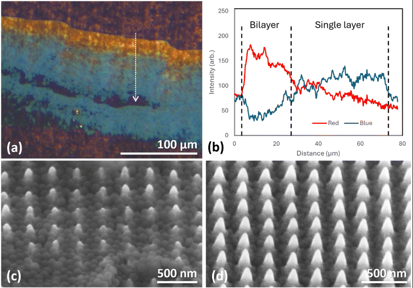 Nanoparticle dispersion and separation in superhydrophilic nanostructures