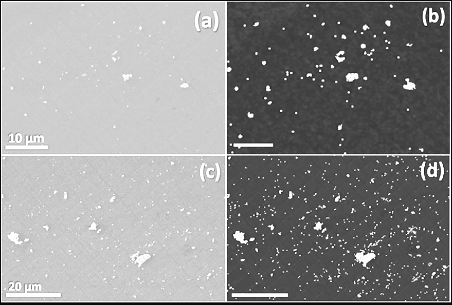 Identification of dust particles on a periodic nanostructured substrate using scanning electron microscope imaging